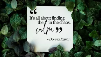 From Chaos To Calm: Building A Sustainable Lifestyle