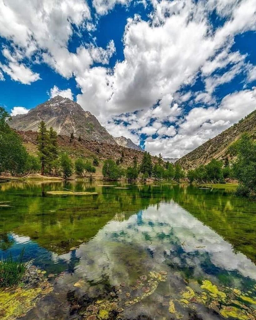 Best Tourist Spots in the Subcontinent Naltar Valley Pakistan