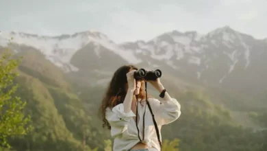 Springtime_Wildlife_Watching