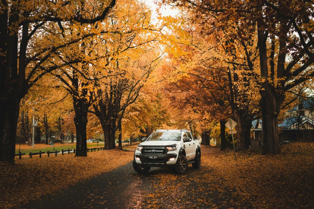 new car top models Ford Ranger